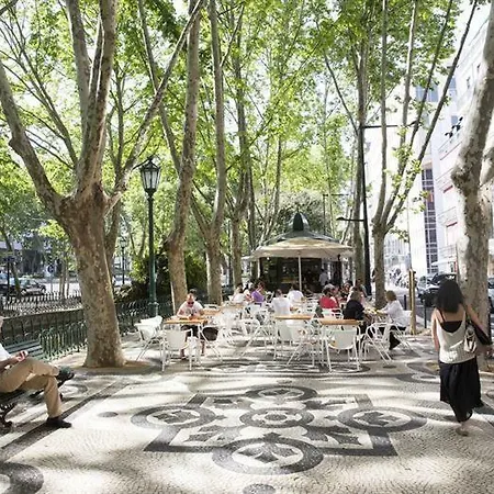 Sunny, And Comfy Ap. In Av. Da Liberdade 아파트